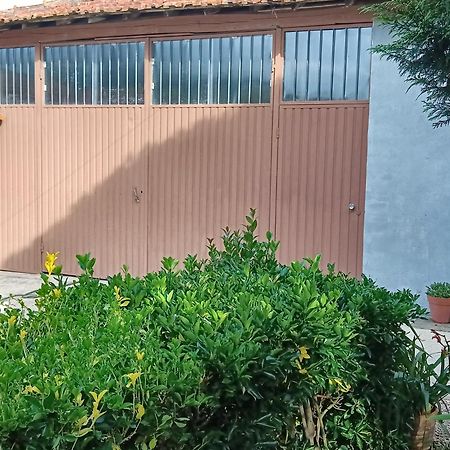 Casa Da Vovo Ceu - Casa De Campo Gandaresa - Country House, Entre Coimbra E Aveiro, A 15 Minutos Carro Praia Mira - Quintal Com Piscina Insuflavel Cantanhede Exterior photo